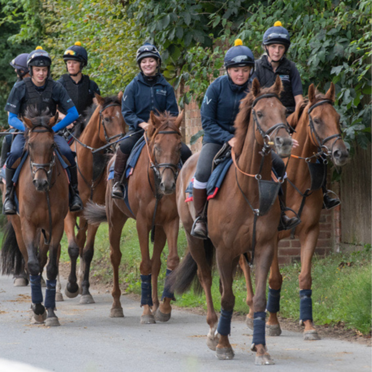 Sporting Chance horses