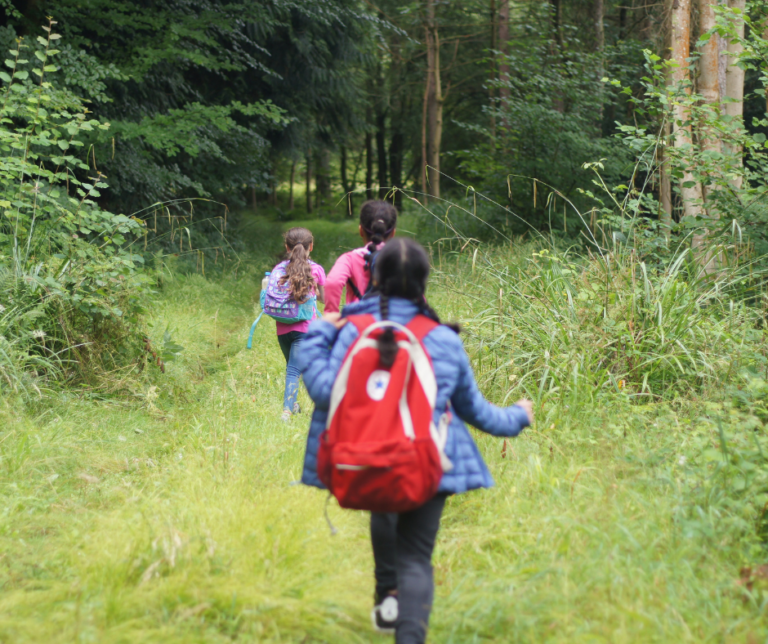 Children walking through a forest