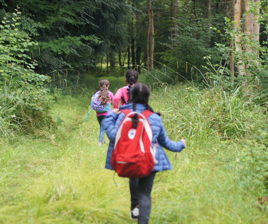 Children walking through a forest